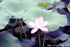 岳麓區(qū)定制網(wǎng)站建設(shè)好在哪